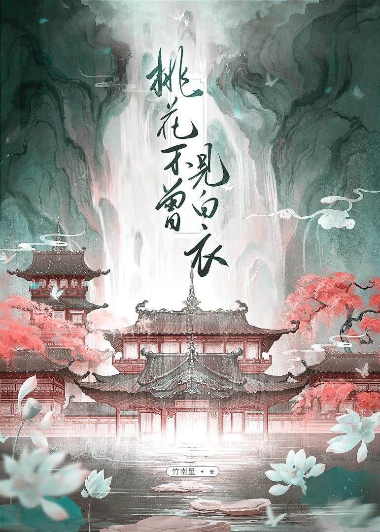 桃花不曾见白衣小说免费阅读全文