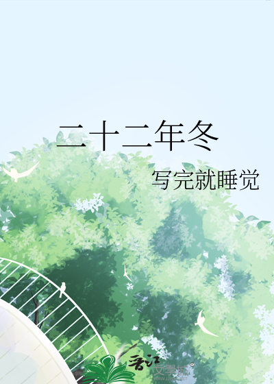 二二十二×20