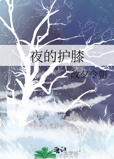 夜的护膝