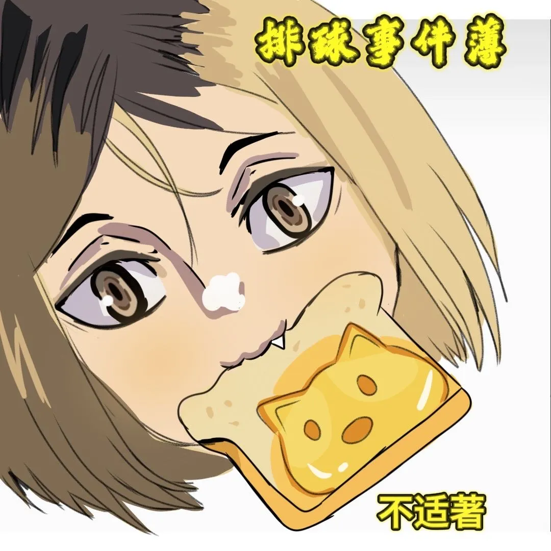 排球话事人