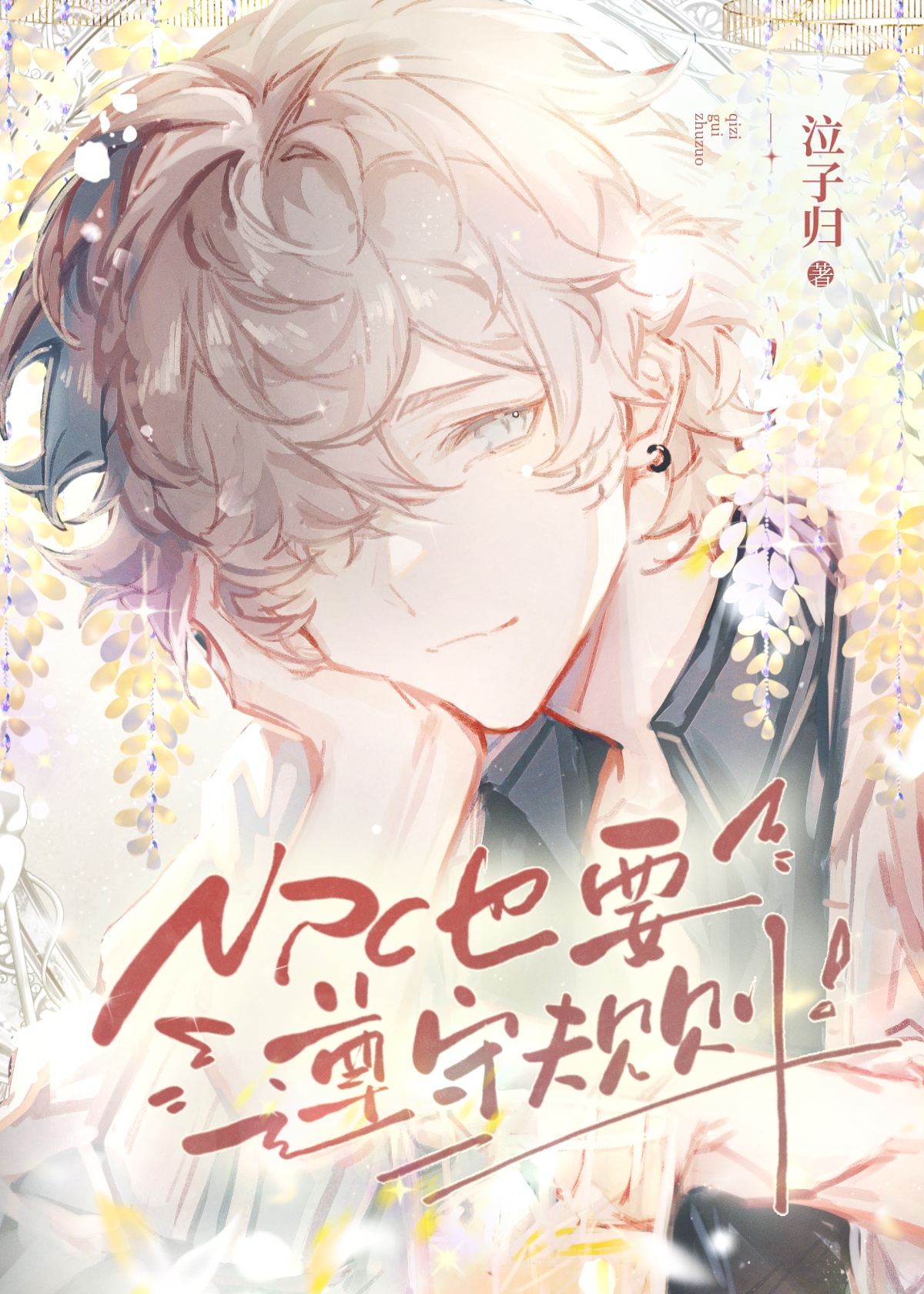 npc干嘛的
