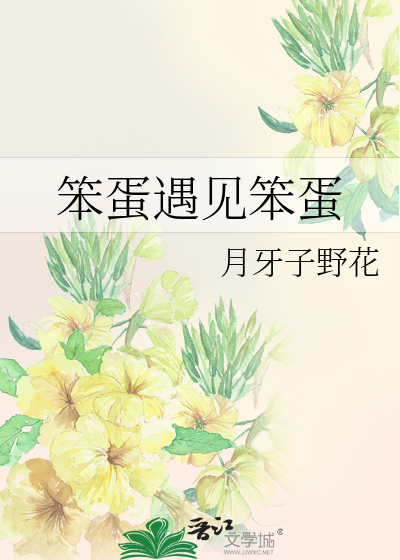 笨蛋遇见笨蛋小说