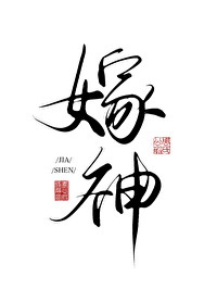 绣球砸中女郎gl全文免费阅读