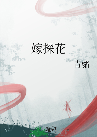 嫁探花