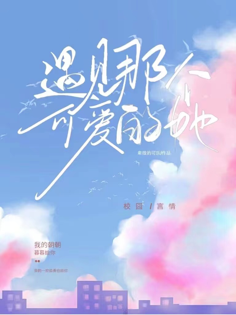 遇见那个可爱的她小说
