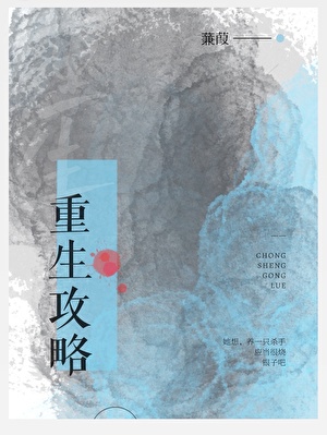 重生攻略
