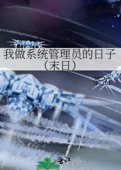 系统管理员小说