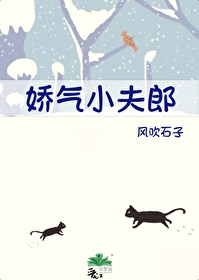 娇宠小夫郎清崽
