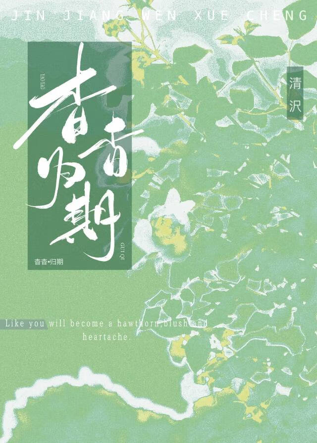 杳杳归期小说讲了什么