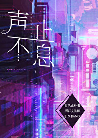 声生不息笔趣阁