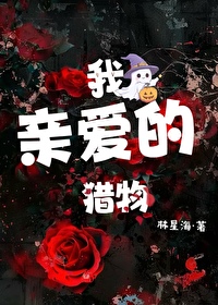 我亲爱的驴