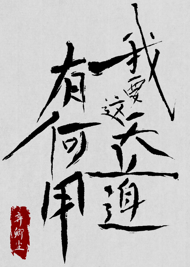 我要说什么天道轮回