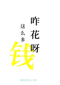 这么多钱咋花呀表情包