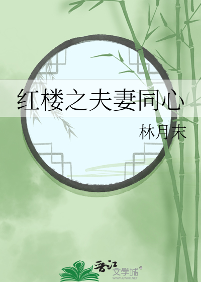 夫妻一起穿越到红楼的小说