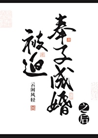 被迫奉子成婚之后小说沈棠宁免费阅读
