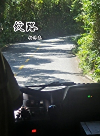 纹路真空袋