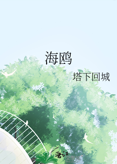 海鸥加速器正版