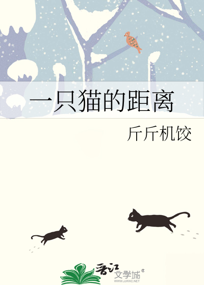 一只猫的长度