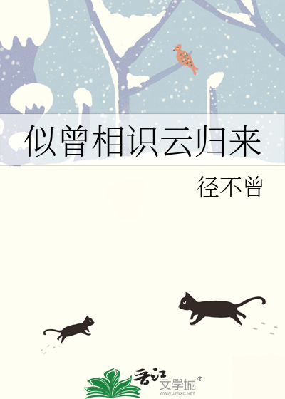 似曾相识月归来小说