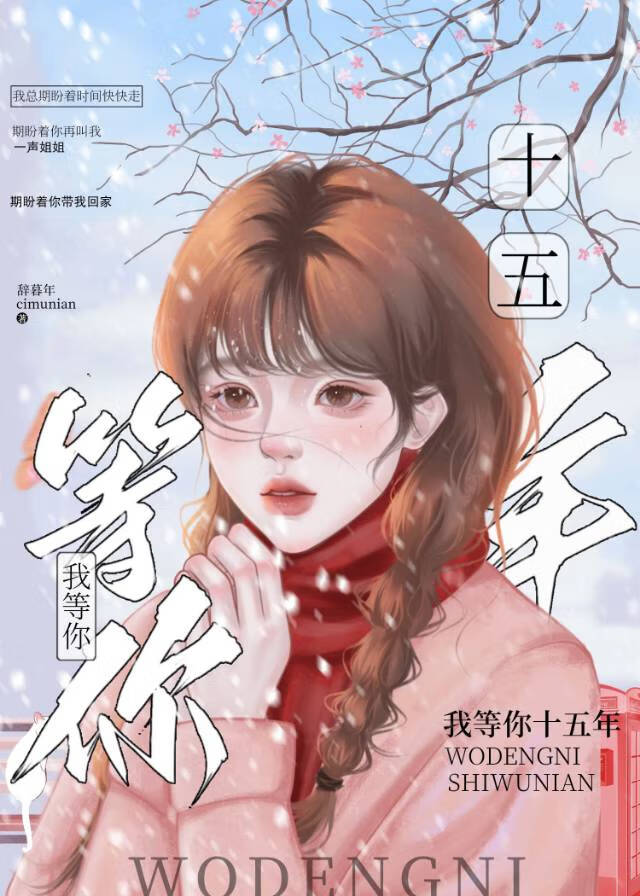 我等你十五年小说
