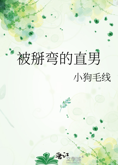 被掰弯的直男by笔趣阁小说免费阅读下